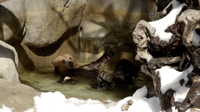 S01:E01 - Episodio 1