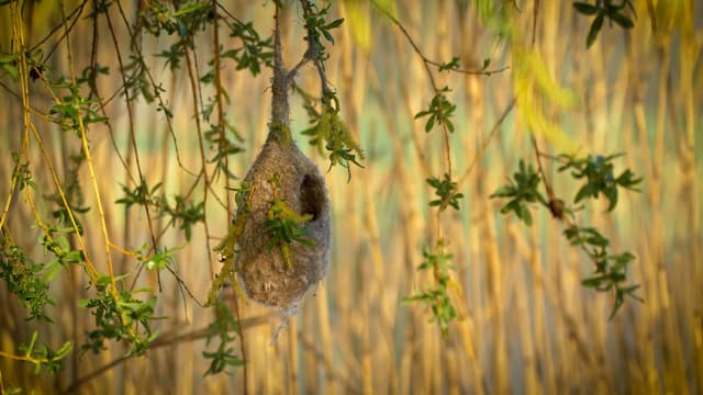 S01:E10 - Natural Wonders