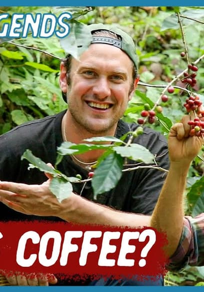 S01:E15 - Finding Mexico’s Best Coffee poster