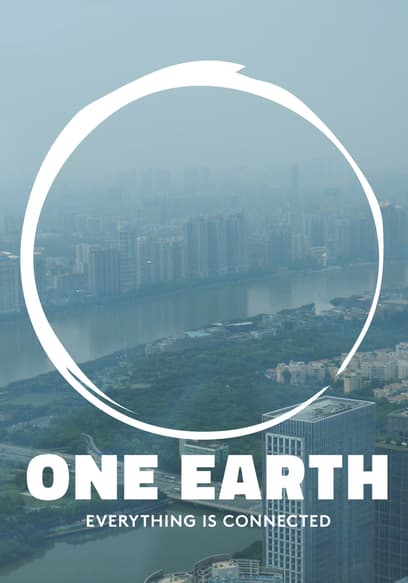 One Earth: Everything Is Connected