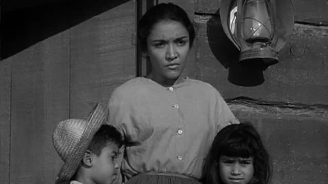 S02:E11 - Desert Seed