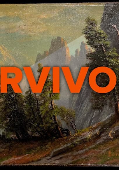 S01:E07 - The Survivor poster