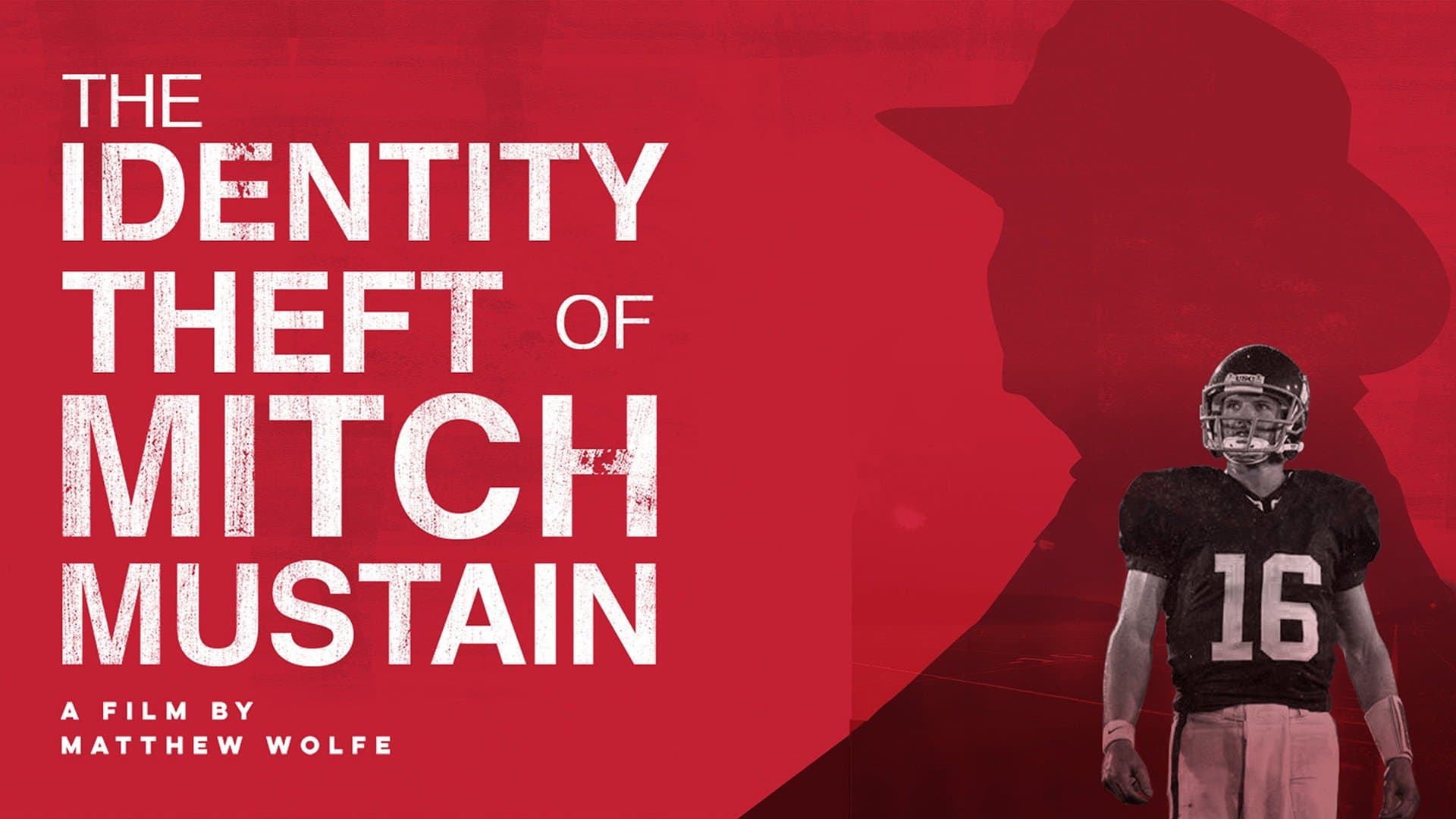 The Identity Theft of Mitch Mustain (2013) poster