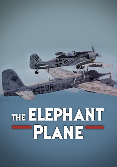 The Elephant Plane