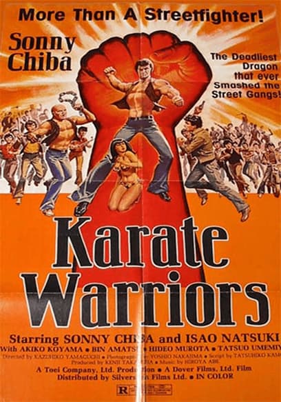 Karate Warriors