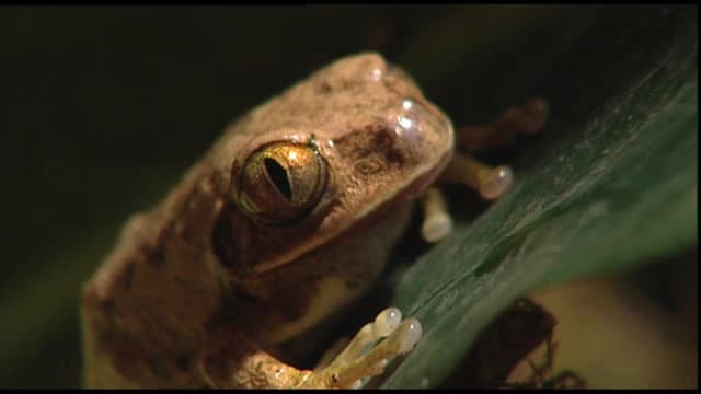 S01:E06 - Stilts, Soles, Wheels and Wings