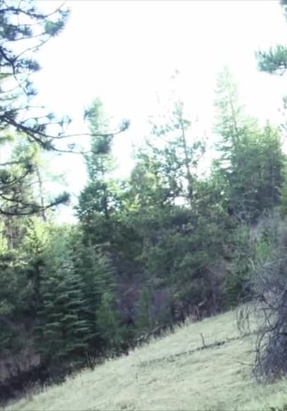 S01:E04 - Bigfoot of the Rockies poster