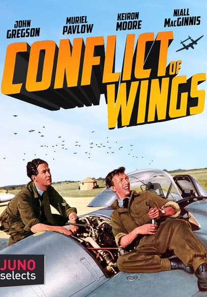 Conflict of Wings poster