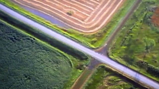 S01:E06 - Little Gosling