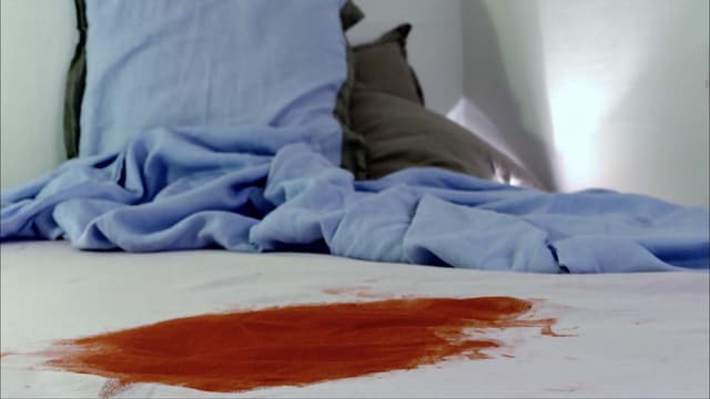 T01:C12 - S01:E12 - El Caso De Yves Godard