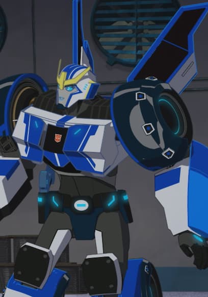 Affiche de S01:E11 - Adventures in Bumblebee-Sitting!