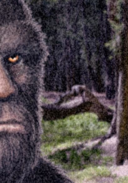 S01:E02 - Bigfoot Encounters poster