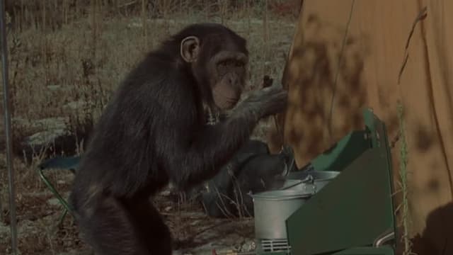 S02:E16 - House of Lions