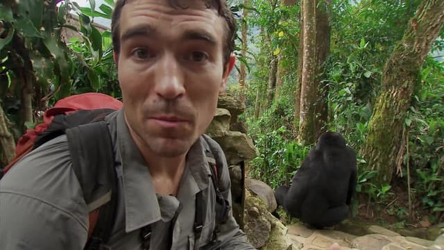 S02:E03 - Mountain Gorillas