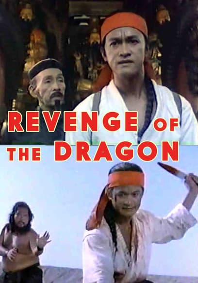 Revenge of the Dragon