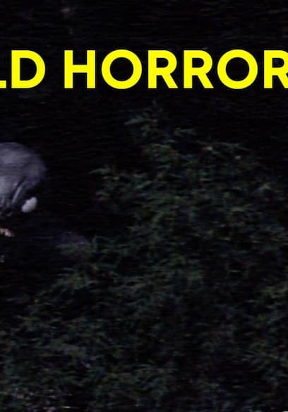 S01:E03 - Something Was Stalking This Quiet Illinois Town - The Enfield Horror  poster