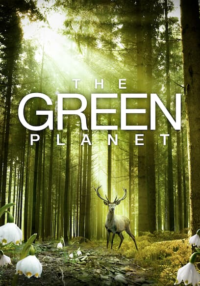 The Green Planet