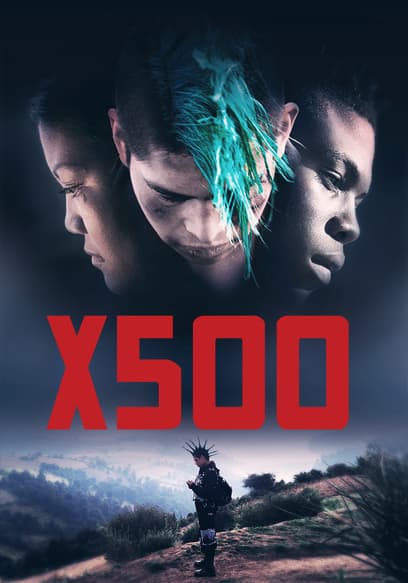 X500