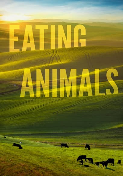 Eating Animals