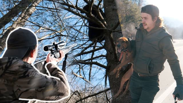 S01:E01 - This Bear Is WILD!!! - Bear Hunting With Dogs