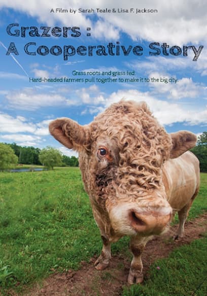 Grazers: A Cooperative Story