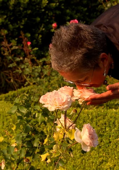 S05:E12 - The Garden Tourist poster