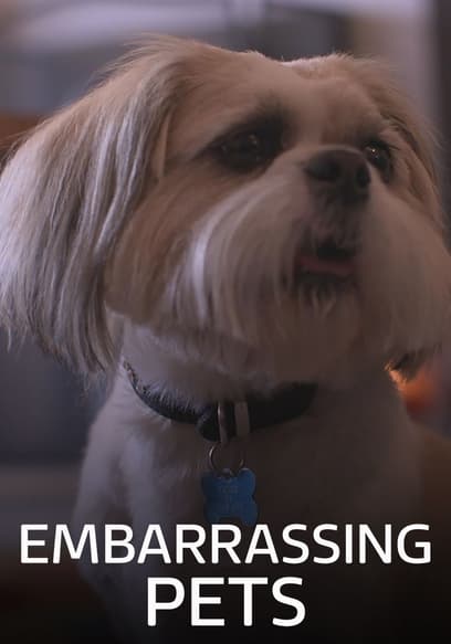 S01:E19 - Episode 19