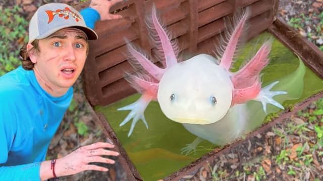 S02:E08 - I Found Axolotls in a Sewer!