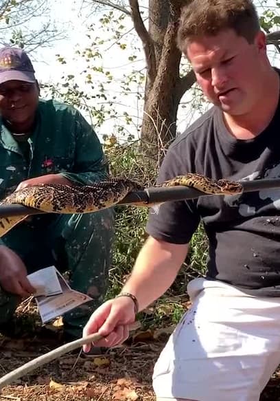 S01:E17 - Puff Adder Moved From Retirement Village poster