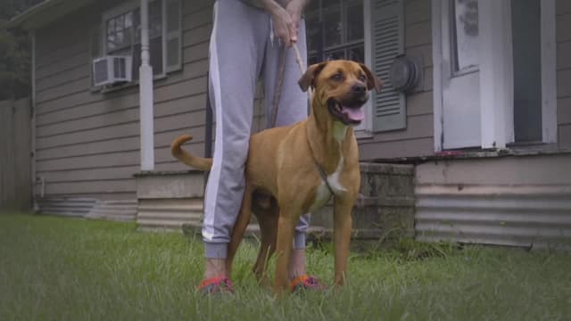 S13:E07 - Like a Boss