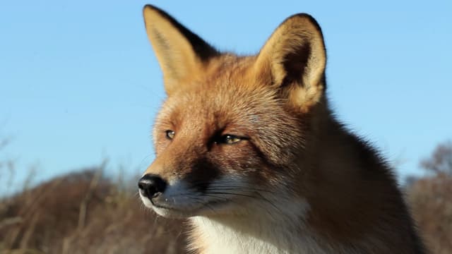 S01:E06 - Expulsión y olor