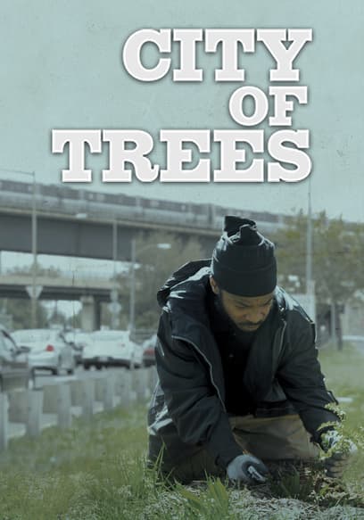 City of Trees