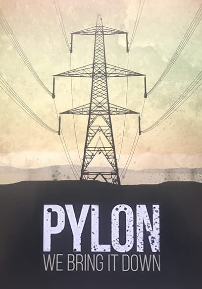 Pylon