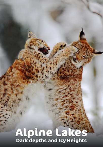 Alpine Lakes: Dark Depths and Icy Heights