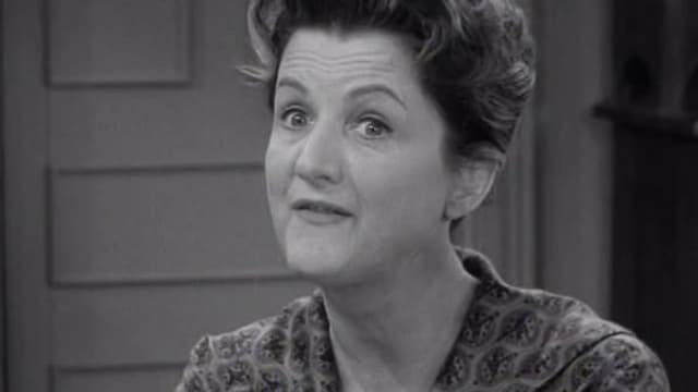 S04:E17 - All Right, Dobie, Drop the Gun