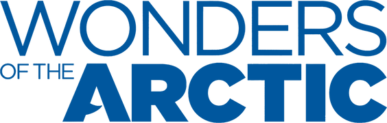 Wonders of the Arctic
