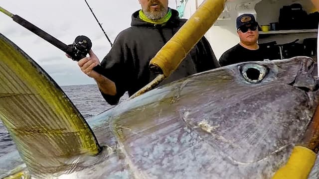 S03:E07 - Rod-Bending Adrenaline at Guadalupe Island: Part 2