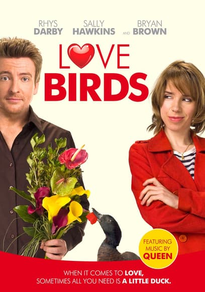 Love Birds