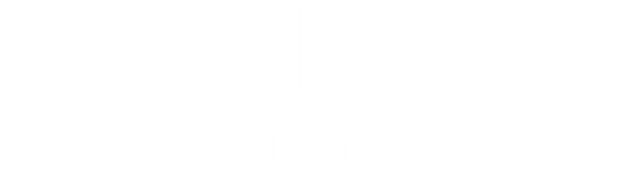 Running Wild: The Cats of Cornwall