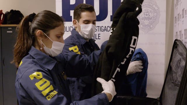 S01:E14 - Fruity Haul