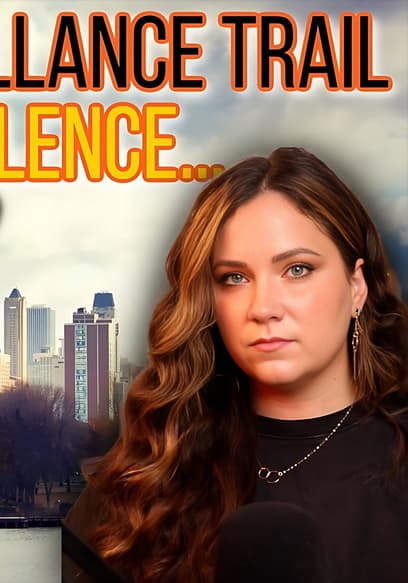 Affiche de S01:E04 - Dan Davis | STILL MISSING Near Chicago: The Car Crash, the Footage Trail, the Silence