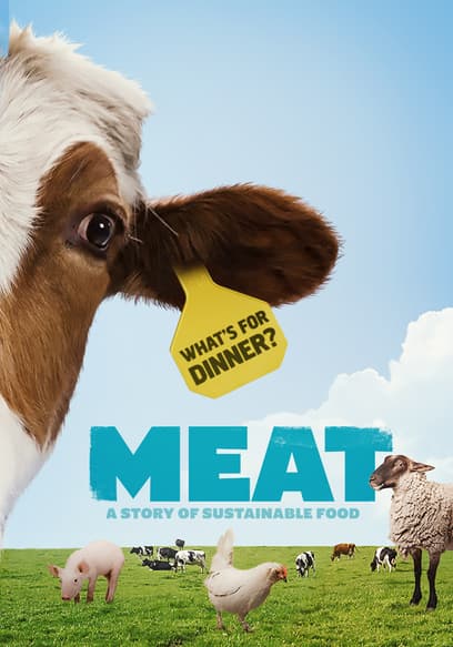 Meat