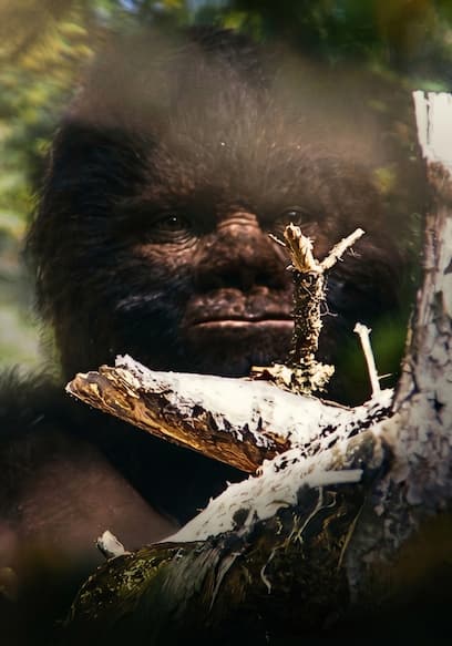 S01:E10 - Ultimate Bigfoot Footage poster