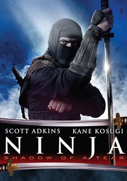 Ninja: Shadow of a Tear