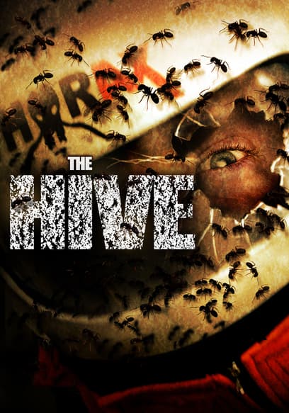 The Hive