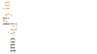 Fly in Fly Out (Cadavre Exquis)