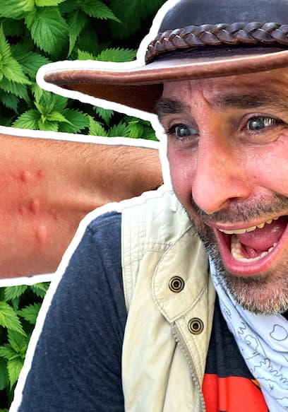 S05:E09 - Stung by a Costa Rican Bush! poster
