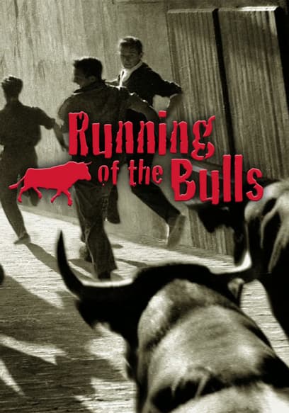 Running of the Bulls