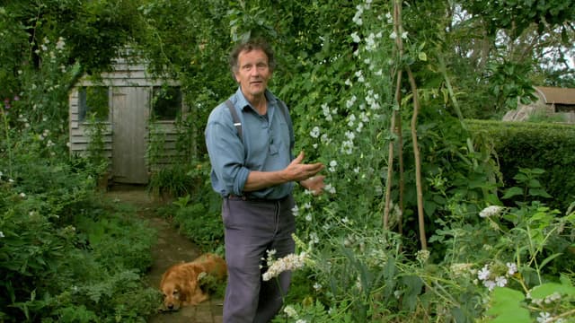 S09:E15 - Episode 15