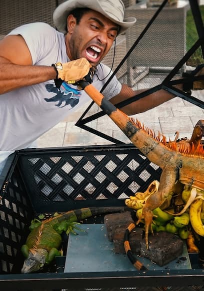 Póster de S01:E10 - The Iguana Hunter